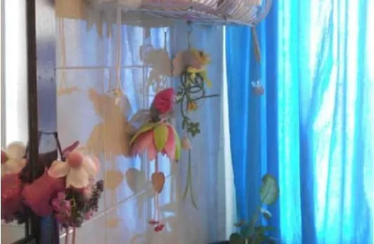 Lacasadellecosebelle